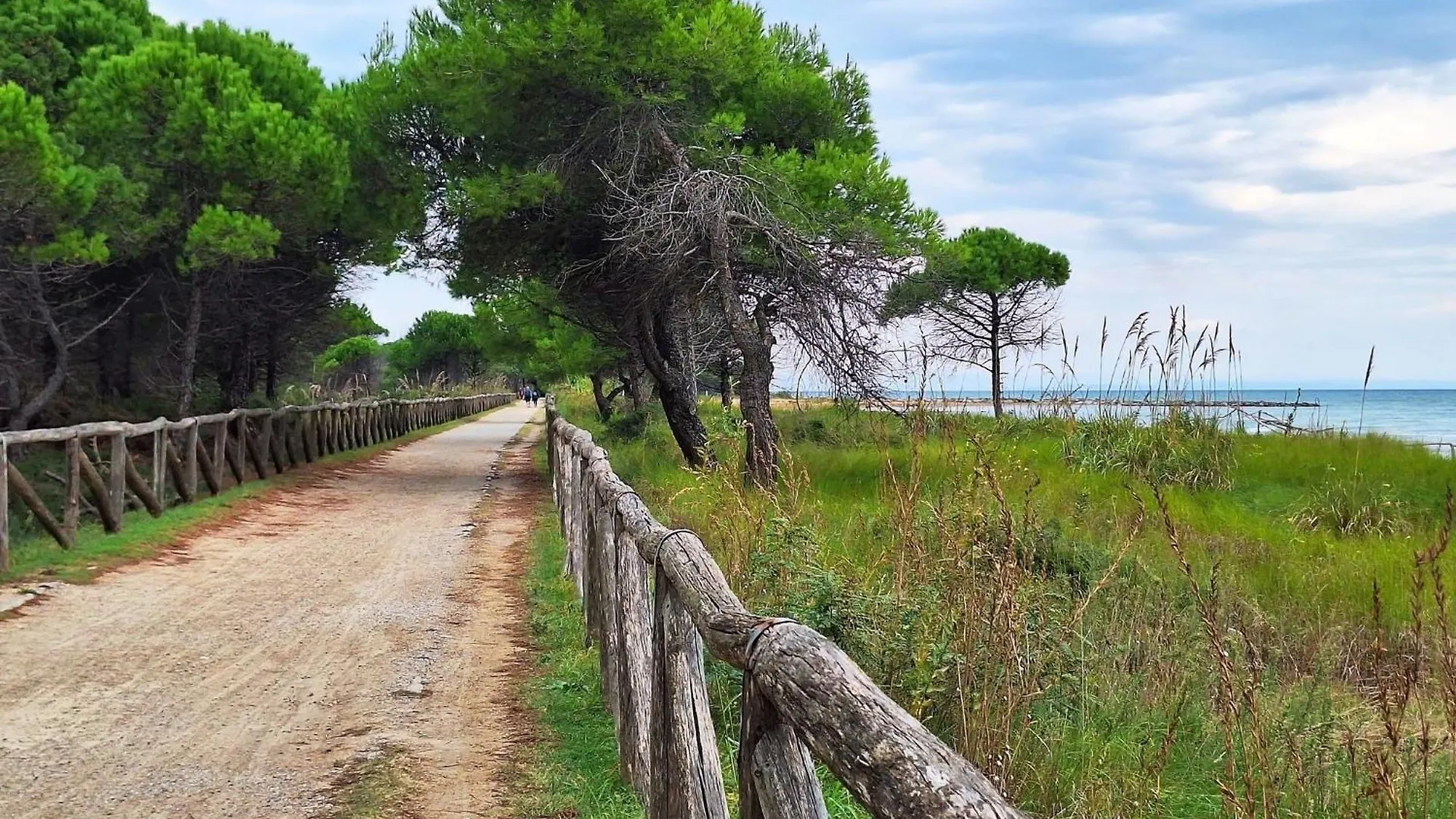 Enjoy A Charming Sea View Studio Apartment بيبيوني